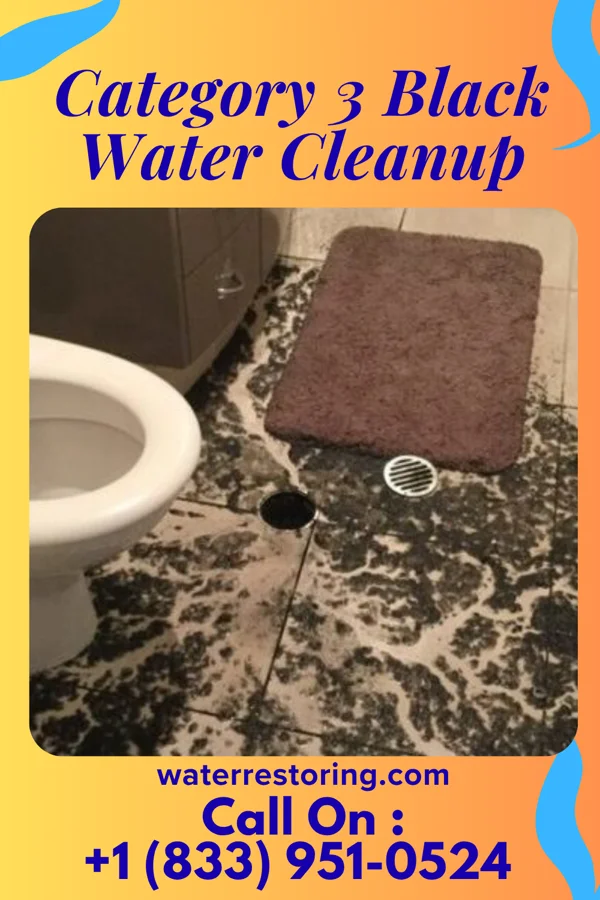 Category 3 Black Water Cleanup in Craig Beach, OH