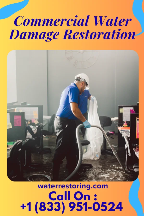 Commercial Water Damage Restoration in Craig Beach, OH