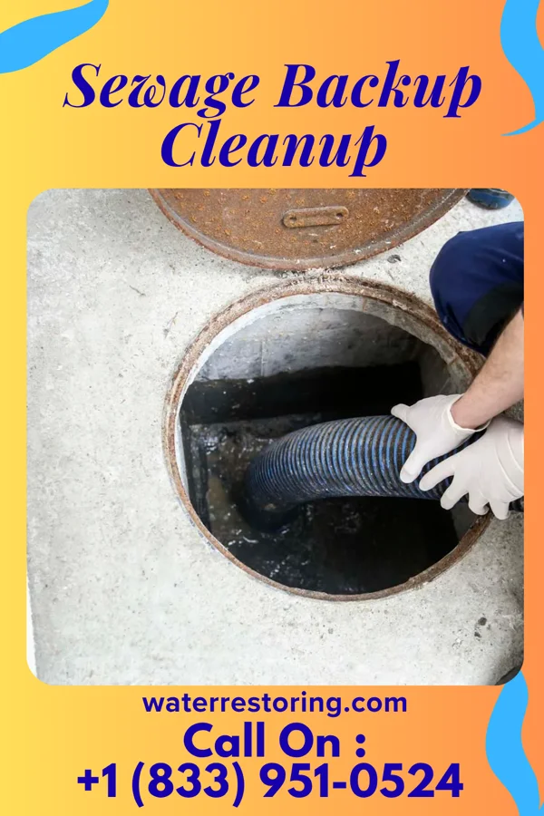 Sewage Backup Cleanup in Craig Beach, OH