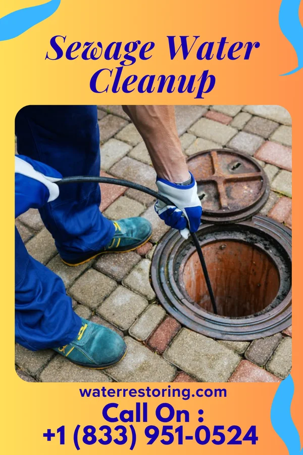Sewage Water Cleanup in Craig Beach, OH