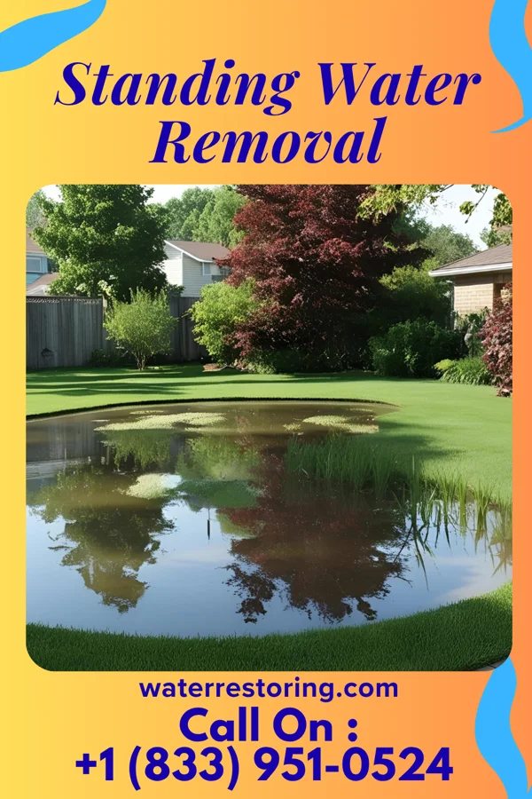 Standing Water Removal in Craig Beach, OH